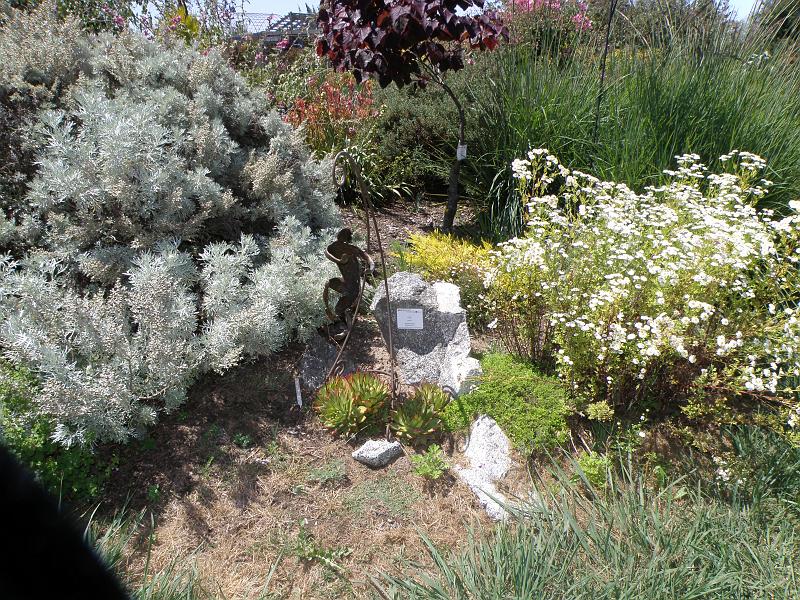 P6282159 Sierra Azul.jpg